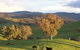 Old Bara Farmstay - thumb 7