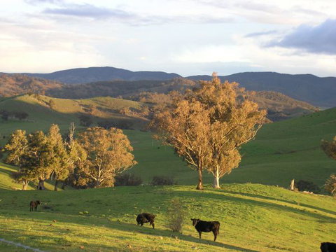 Old Bara Farmstay - Accommodation Newcastle 7