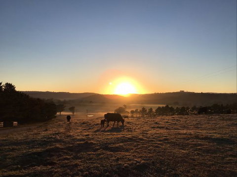 Old Bara Farmstay - Accommodation Newcastle 8