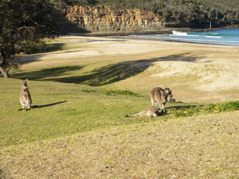 Creel Lodge - Accommodation Newcastle 13