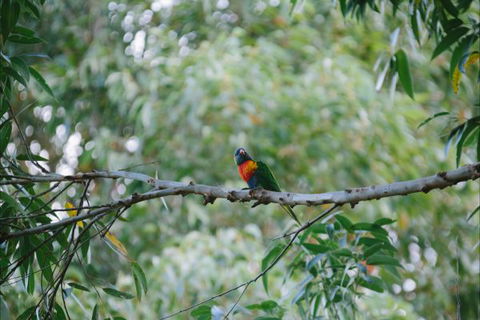 Creel Lodge - Accommodation Newcastle 14