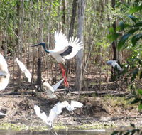 Rakhi Retreat - Accommodation Newcastle