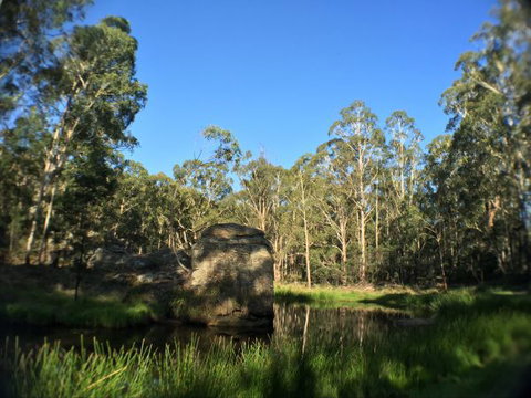 Wilderness Bunkhouse - Accommodation Newcastle 3