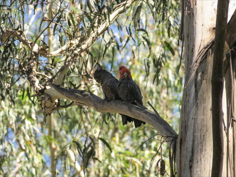 Wilderness Bunkhouse - Accommodation Newcastle 4