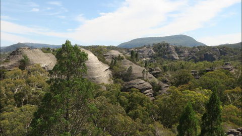 Wilderness Bunkhouse - Accommodation Newcastle 6