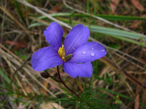 Wilderness Bunkhouse - Accommodation Newcastle 7