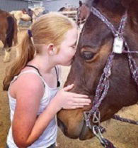 Hunter Valley Horses - Accommodation Newcastle 2