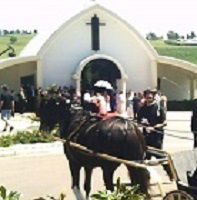 Hunter Valley Horses - Accommodation Newcastle 4