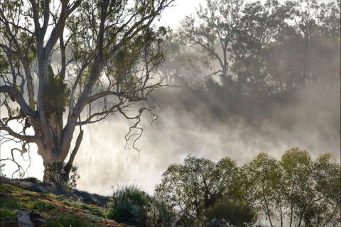 River Shack Rentals - Living The Dream - Accommodation Newcastle 57
