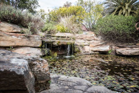 River Shack Rentals - Living The Dream - Accommodation Newcastle 35