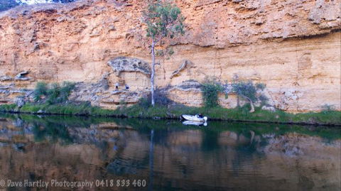River Shack Rentals - Living The Dream - Accommodation Newcastle 123