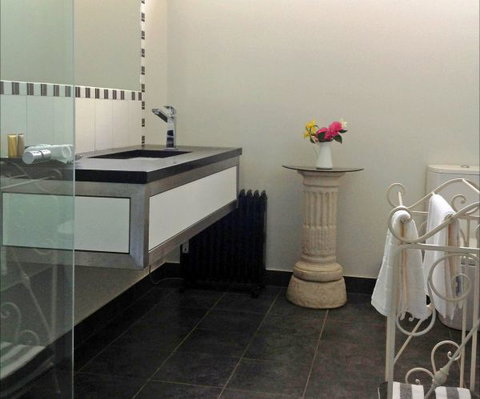 Pizzini's Vineyard Guesthouse - Accommodation Newcastle 3