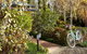 Pizzini's Vineyard Guesthouse - thumb 5