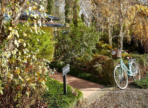 Pizzini's Vineyard Guesthouse - Accommodation Newcastle 5