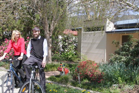 Pizzini's Vineyard Guesthouse - Accommodation Newcastle 9