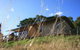 Gisborne Peak Winery  Cottages - thumb 8