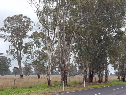 The Gums - Accommodation Newcastle 8