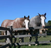 Clydesdale Motel and Steakhouse