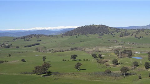 Rancho Relaxo - Accommodation Newcastle 0