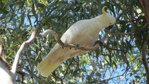 River Gardens Bed And Breakfast Farmstay - Accommodation Newcastle 1