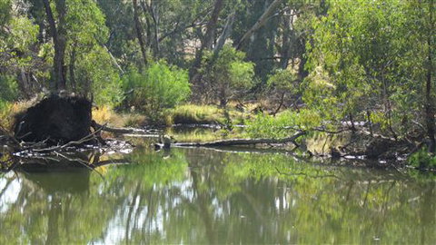 River Gardens Bed And Breakfast Farmstay - Accommodation Newcastle 2