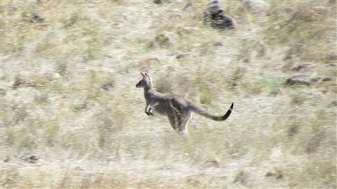 River Gardens Bed And Breakfast Farmstay - Accommodation Newcastle 7