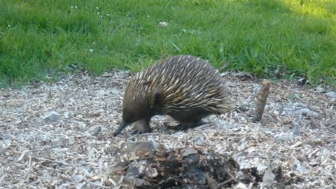 Sabrelyn Park - Accommodation Newcastle 5