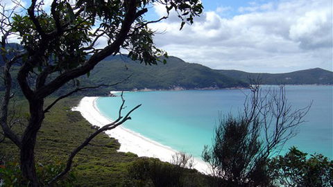 Sabrelyn Park - Accommodation Newcastle 6