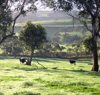 Bellevue Farmstay - Accommodation Newcastle