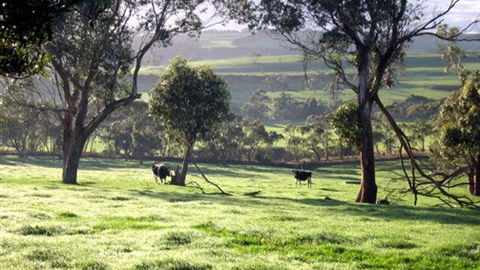 Bellevue Farmstay - Accommodation Newcastle 0