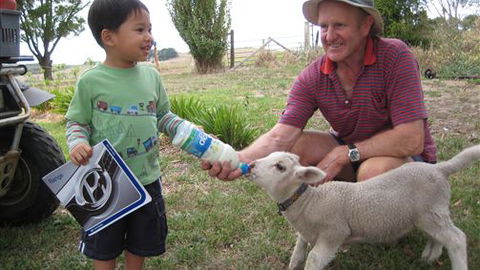 Bellevue Farmstay - Accommodation Newcastle 1