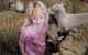 Bellevue Farmstay - thumb 4