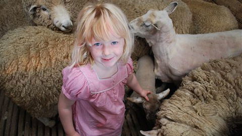 Bellevue Farmstay - Accommodation Newcastle 4