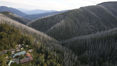 YMCA Howmans Gap Alpine Centre - Accommodation Newcastle 0