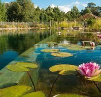 Planetrees Lodge - Accommodation Newcastle