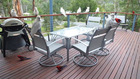 Blue Ridge Retreat - Accommodation Newcastle 2