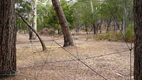 UC Camping Norval - Accommodation Newcastle 1