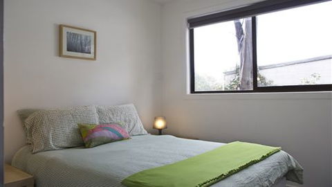 Elk At Falls - Accommodation Newcastle 2