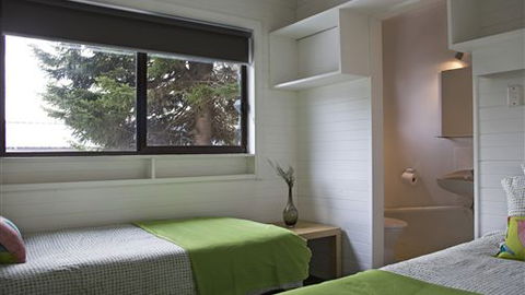 Elk At Falls - Accommodation Newcastle 3