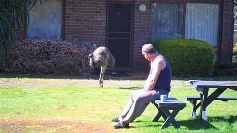Halls Haven Resort - Accommodation Newcastle 7