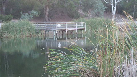 Mallard House Ballarat - Accommodation Newcastle 5