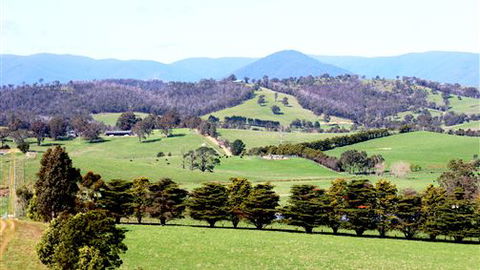 The Barn At Charlottes Hill - Accommodation Newcastle 7