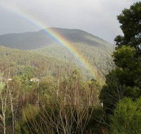 Wattletree Cottage - Accommodation Newcastle