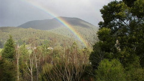 Wattletree Cottage - Accommodation Newcastle 0