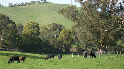 Korumburra VIC Accommodation Newcastle