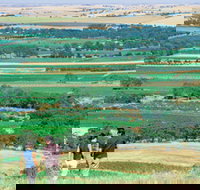 Barossa Best Bed and Breakfast - Accommodation Newcastle