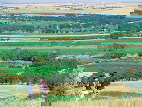 Barossa Best Bed And Breakfast - Accommodation Newcastle 0