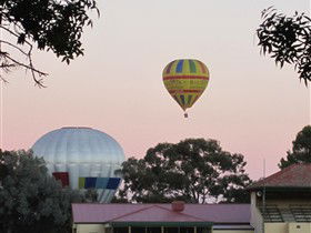 Nuriootpa SA Accommodation Newcastle