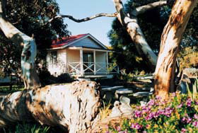 Cape Jervis Holiday Units - Accommodation Newcastle 0