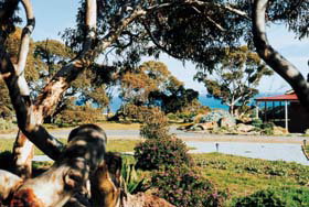 Cape Jervis Holiday Units - Accommodation Newcastle 1